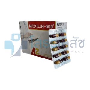 MOXILIN-500 (น้ำตาล-เหลือง) 50x10 CAPSULES.(42)